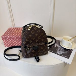 Louis Vuitton Palm Springs Mini