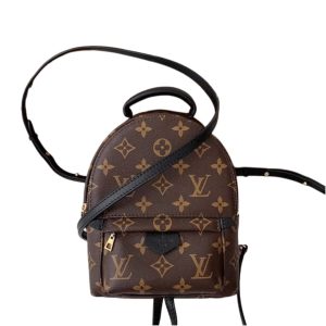 Louis Vuitton Palm Springs Mini